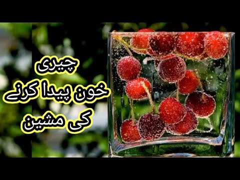 چیری خون پیدا کرنے والی مشین |Blood booster machine