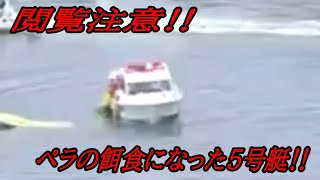 閲覧注意‼選手はペラの餌食‼水中に入っての救助活動はまれ