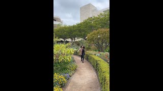 🌸✨ Hidden LA Gem: The Getty Center Garden 🌿✨