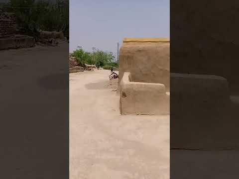 جی ملک جی ##