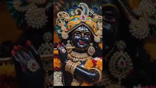 #bankebihari#shyam#gopal #krishna#youtubeshorts#ytshorts #trendingshorts#viralshort#love #viraltoday