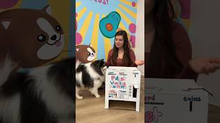 Fidget Vending Machine with Scout + @MrsBench 💕