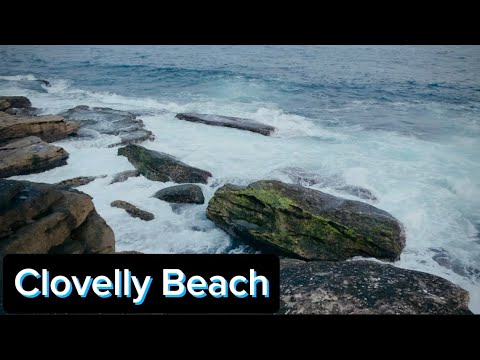 Sydney’s best beach #beach #ocean #sydney