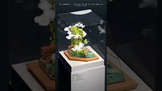 Satisfying & calming voxel art terrarium, The Monocle by TerraLiving
