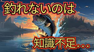 ⚫️⚫️だから釣れない…!!知っておくべきバス釣り知識