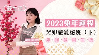 2023兔年戀愛運程十二生肖姻緣篇：雞、狗、豬、鼠、牛、虎！玄學家教你催財招桃花　夢生活