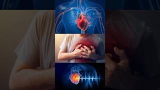 How does cardiac arrest occur? #contentcreator #education #biology #educationalvideo #cardiacarrest