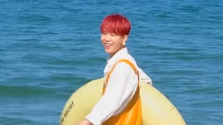 if bts at the beach was dubbed