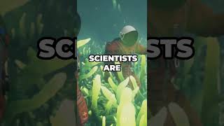 Ocean’s Hidden Secret: The Enigma of Dark Oxygen Unveiled!