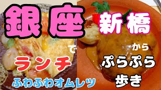 【東京グルメ日記】「銀座グルメ」ふわふわ具だくさんスペインオムレツとハンバーグ🌼 銀座の「エスペロ」でランチ【60代グルメvlog】