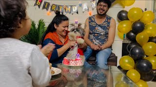 Muffin 2nd birthday celebration 🥳🎉 | #vlog114  | #sangeetakandari