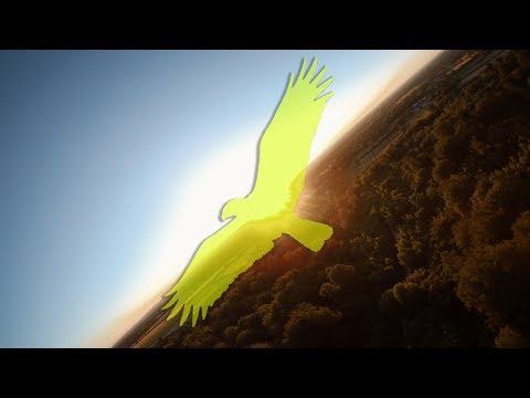 Find your way 🌅🔥 ~ FPV Freestyle