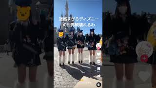 迷惑ディズニーの世界観壊れるTikTokのコメ欄可愛いーとかなのにYoutubeの見ると炎上してるの草