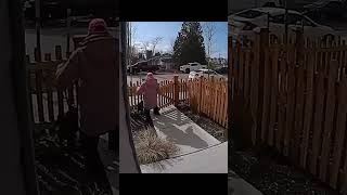 try not to laugh😂😂#shorts #shortsvideo#shrotsfeed #failsfunny #funnyvideos #funny #short #fyp