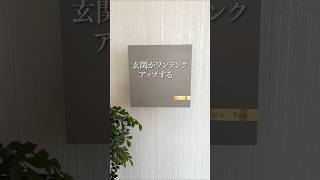 上品な壁掛けポスト！褒められること間違いなし✨#ポスト #shorts #家具