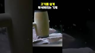 현실판 아이스에이지 기체 #과학 #지식