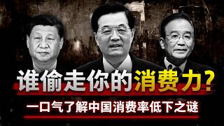 【消费丧钟为谁鸣】一口气了解中国消费率低下之谜 | 为什么中国的消费率比印度还低？究竟是“谁”偷走了你的消费力？| 中国经济 | 消费 | 刺激政策 | 通缩