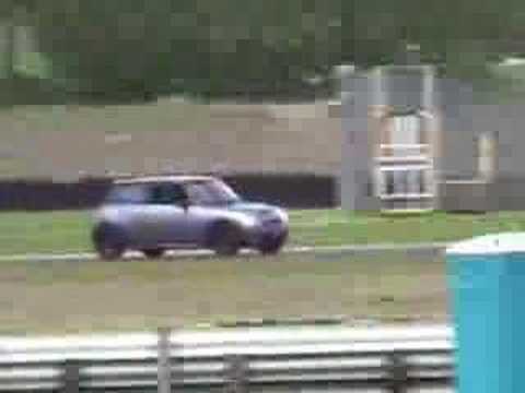 Cat at the Track