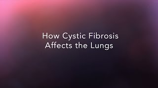 CF Foundation | How does cystic fibrosis affect the lungs?