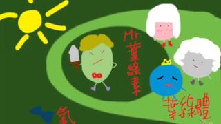 光合作用的小故事 (A story about Photosynthesis)