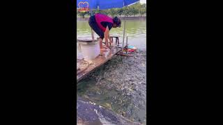 🔴Live stream🔥Amazing 🐟2025/07/19