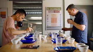 Los Pirineos: Tim Wendelboe’s Process of Selecting the Best Coffees