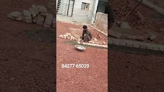 #designworks #floor #home #shortvideo #viralvideo