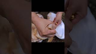 I am searching for precious pearls in 1000 shells