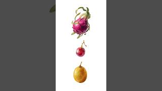 Learn Fruit Names for Toddlers, Kids | English Vocabulary | Set 4