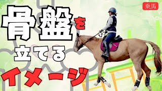 「乗馬」骨盤を立てるイメージ