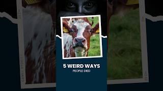 5 Weird Ways People Have Died