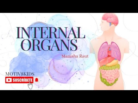 internal organs | grade 3 science| chapter 10  #cbse #ncert #science