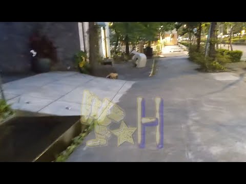 2022/05/20 台北街頭拍攝 貓帶路. I followed a wild cat.