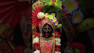#naamjap#premanandjimaharajvrindavan#krishnaradhabhakti