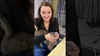 Oops,that was an accident 😂😂😂#cat#catlover#catvideos #funnycat#fyp