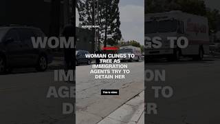 Video shows woman clinging to tree as immigration agents try to detain her