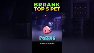 Top 5 Pet For Brrank 🤯||#shorts #brranked