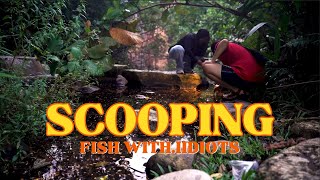 Scooping fish with iidiots