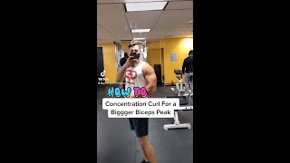 How to PROPERLY Perform Concentration Curls (For A Bigger Biceps Peak!)
