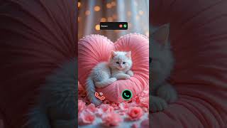 #call #iphone #ringtone #smartphone #ringtones #cat #tech #innovation #iphone15 #mobiletech