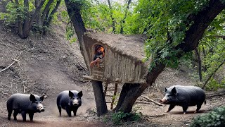 Building a Clay Shelter for Survival in a Wild Boar Den