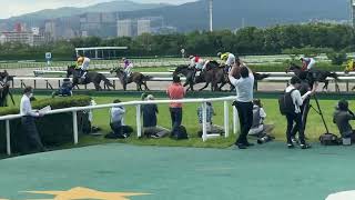 第66回宝塚記念　メイショウタバル勝利🏆　武豊さんカッコいい✨