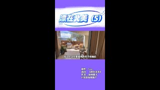 《漂在北美》-长篇小说连载-（第五部分）