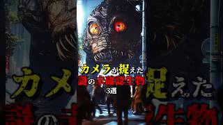 カメラが捉えた謎の未確認生物3選 #都市伝説 #雑学 #怖い話 #shorts