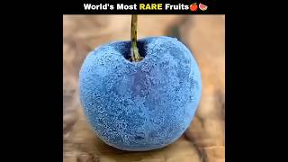 World's Most RARE Fruits