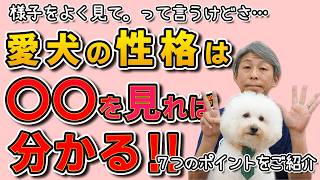 愛犬の性格がまるわかり！7つのポイントで心を読む方法🐕✨
