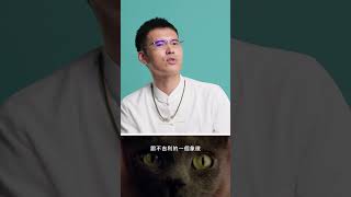 貓被列為「不吉利」的象徵？#GQ電影 #鬼月
