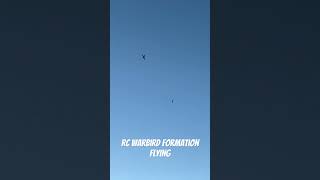 RC Warbird formation. #rcaircraft #aviation #rcflying