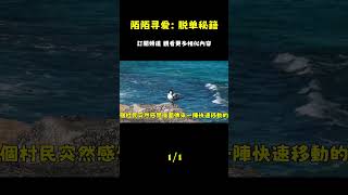 在陌陌上輕鬆找到理想對象！認識許多單身女孩和有趣的靈魂