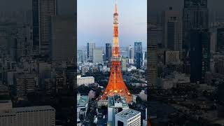 東京鐵塔超好拍免費景點，麻布台之丘森JP塔！！ #免費 #東京新景點 #麻布台之丘 #森JP塔 #中村銘茶 #東京